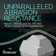 Seaguar Red Label 200 Yards