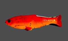 Weedless Shad 