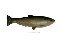 Weedless Shad 