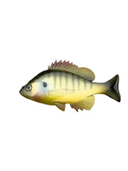 Bluegill Top Hook