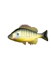 Bluegill Top Hook