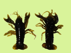 Huddle-Bug