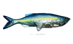 Weedless Grass Minnow