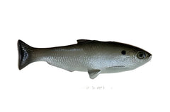 Weedless Shad 
