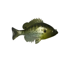 Bluegill Top Hook