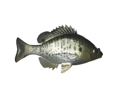 Bluegill Top Hook
